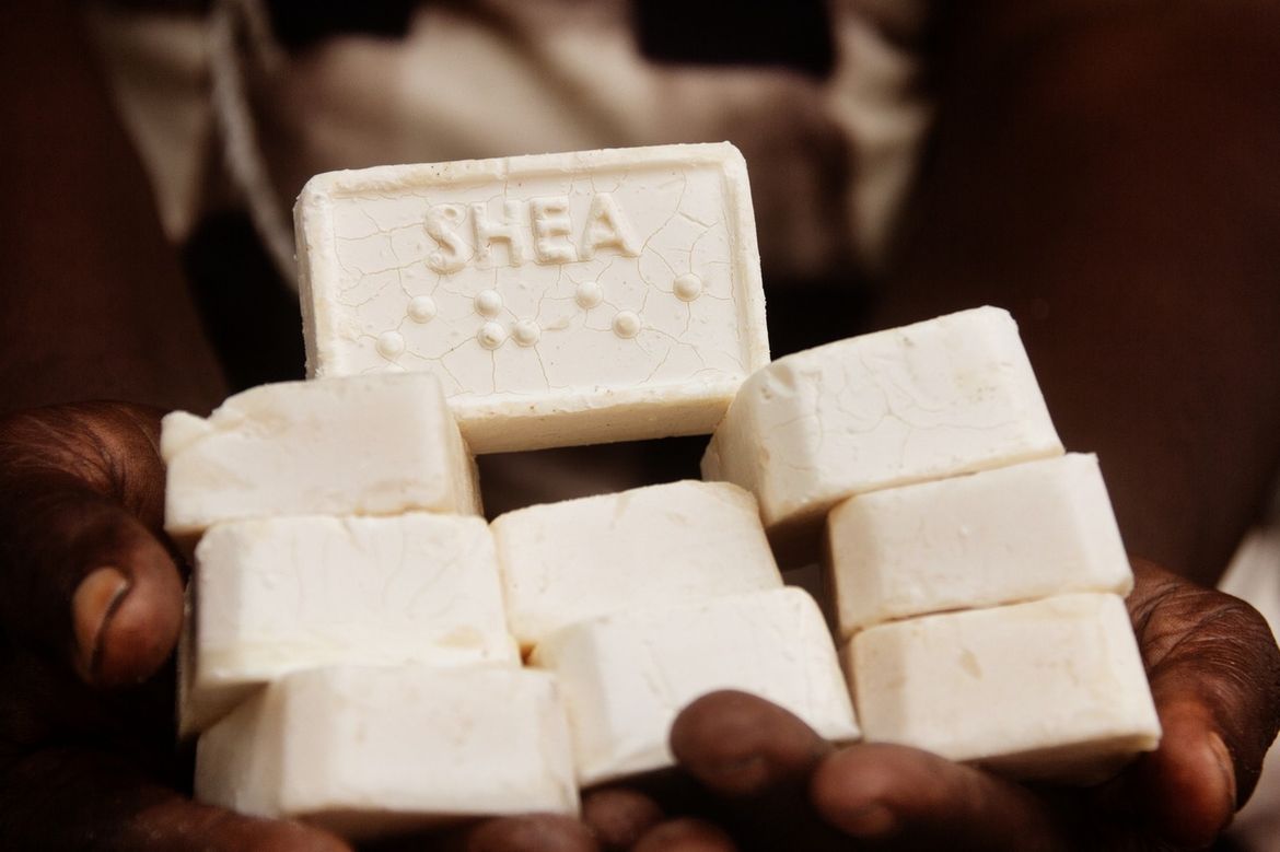shea-butter-loccitane-French-Chamber-of-Great-Britain