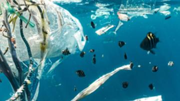 the-seacleaners-ocean-plastic-pollution-French-Chamber-of-Great-Britain
