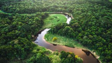 Schneider-Electric-net-zero-French-Chamber-of-Great-Britain