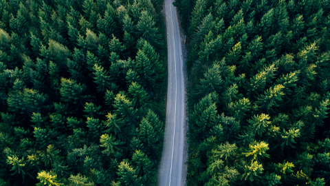 Sustainability-CCFGB